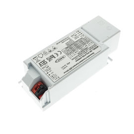 Flicker Free Dali Dimmable Driver Home Automation System 200mV R/N PFC Function